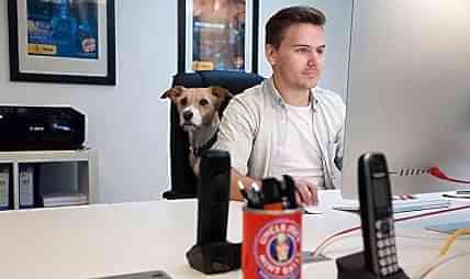 Арт-директор (Digital)