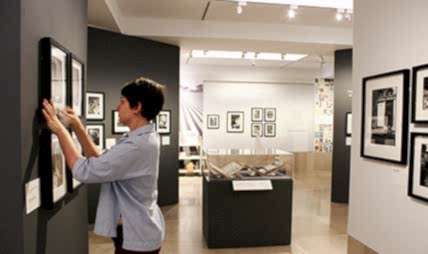 Куратор выставок