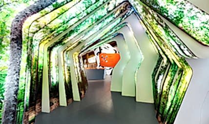 Художник-декоратор выставочных пространств